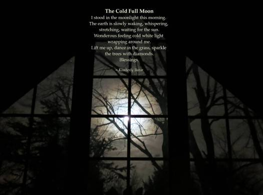 The View From My Window